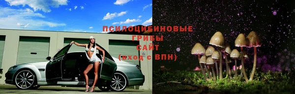 apvp Абаза