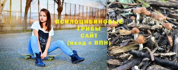 apvp Абаза
