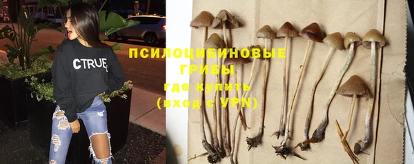 mdpv Абдулино