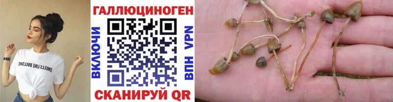 Псилоцибиновые грибы MAGIC MUSHROOMS купить Юрюзань